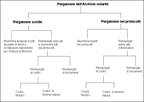 Fig. 7: Pergamene sciolte