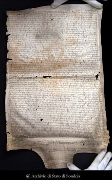 Fig. 20: ASSo, Fig. 20: Perg. 865. (recto)