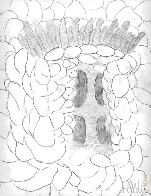 disegno della porta della torre